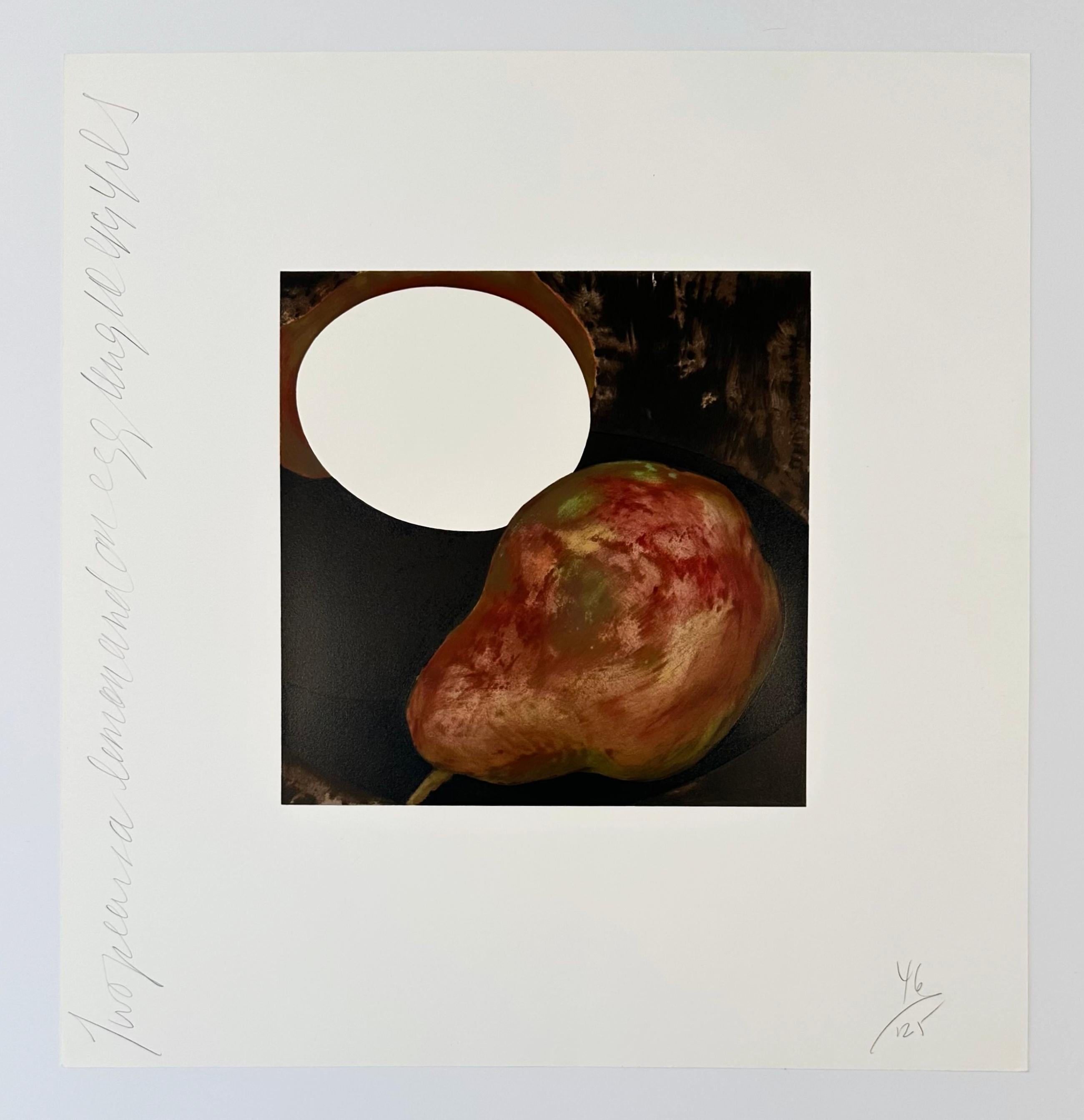 Two Pears, a Lemon and a Egg - Print by Donald Sultan