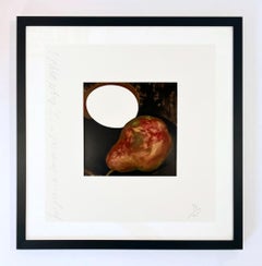 Donald Sultan Two Pears, a Lemon and an Egg Screenprint, 1994, Signed