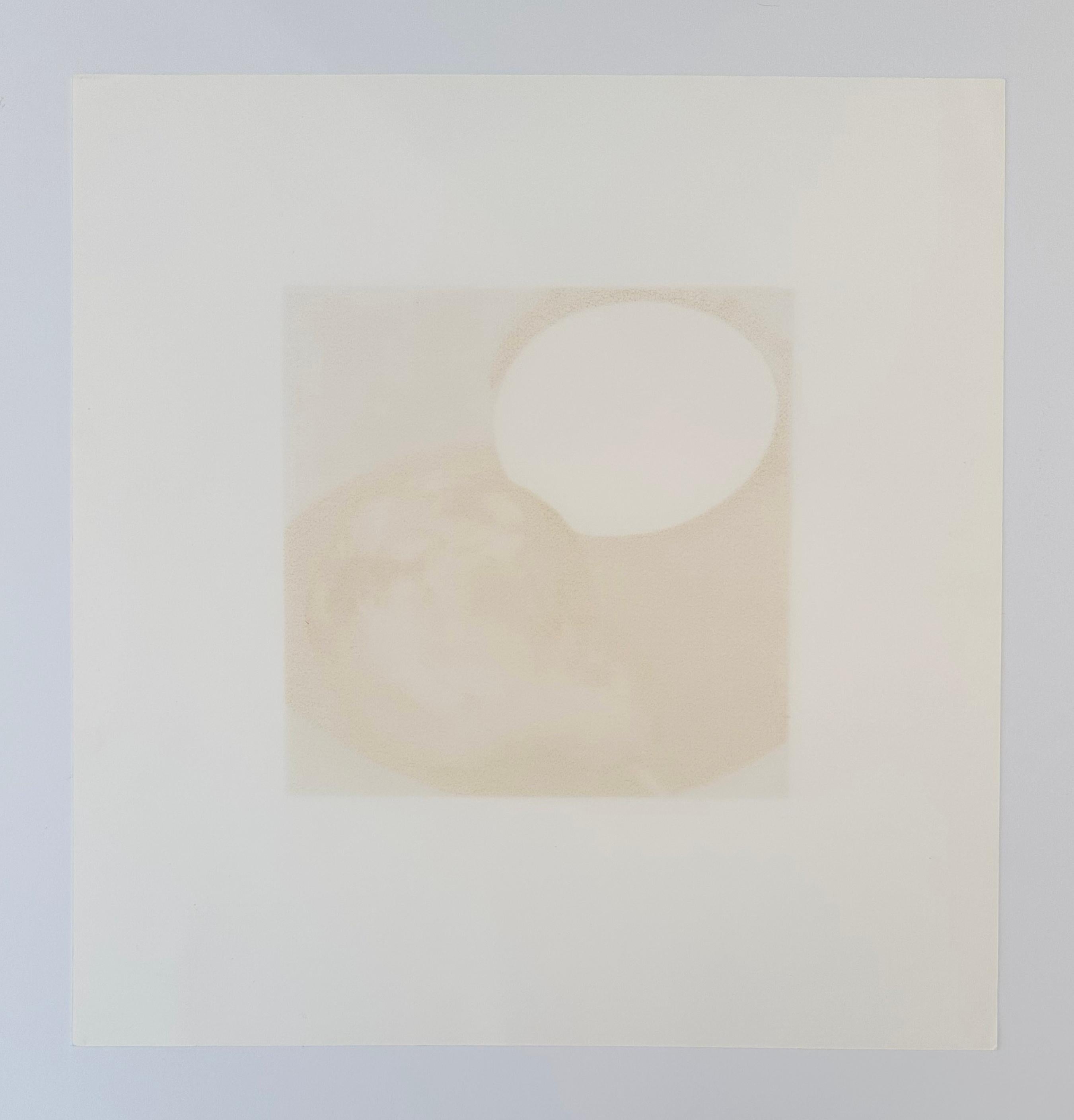 Artist: Donald Sultan
Title: Two Pears, a Lemon and an Egg
Portfolio: 1994 Fruit and Flowers III
Medium: Screenprint
Date: 1994
Edition: 46/125
Sheet Size: 23