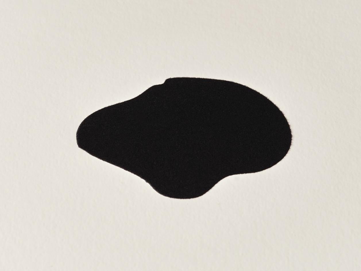 White Double Poppies For Sale 3