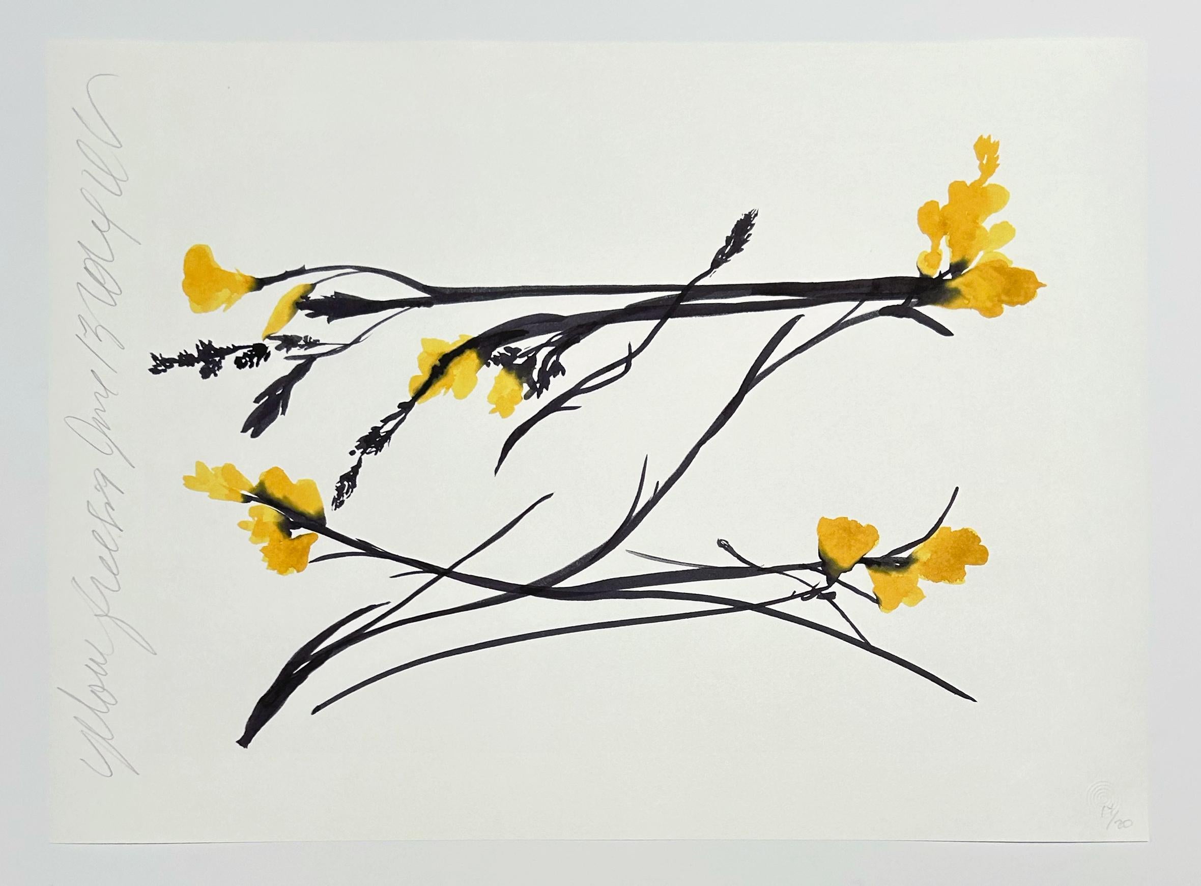 Artist: Donald Sultan
Title: Yellow Freesia, June 13, 2024
Portfolio: 2024 Freesia
Medium: Archival pigment inks on Japanese 110 gsm paper
Date: 2024
Edition: 14/20
Frame Size: 21 1/4