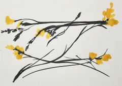 Yellow Freesia, June 13, 2024