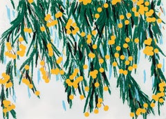 Yellow Mimosa