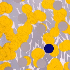 Mimosa gialla con blu