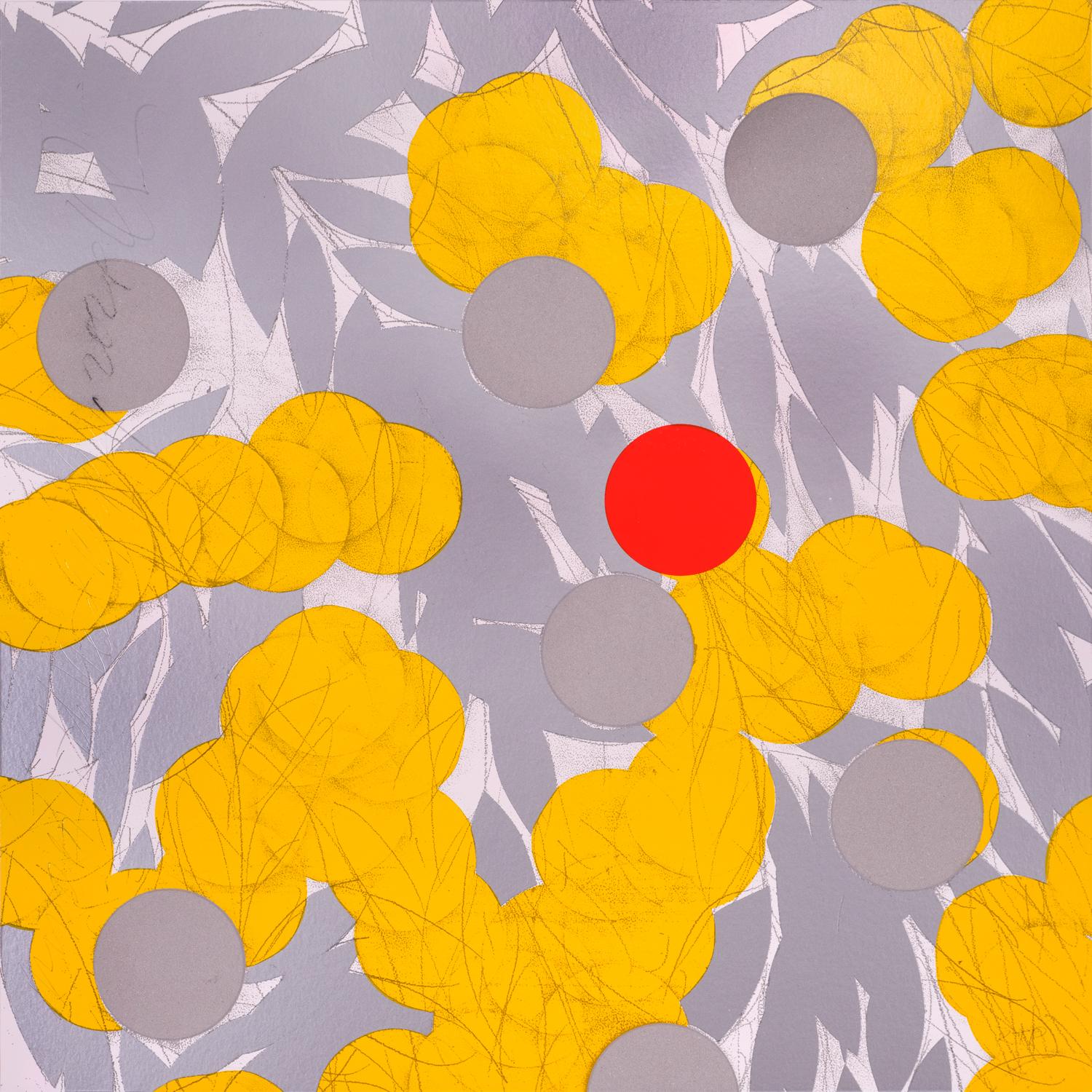 Mimosa gialla con rosso