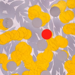 Mimosa gialla con rosso