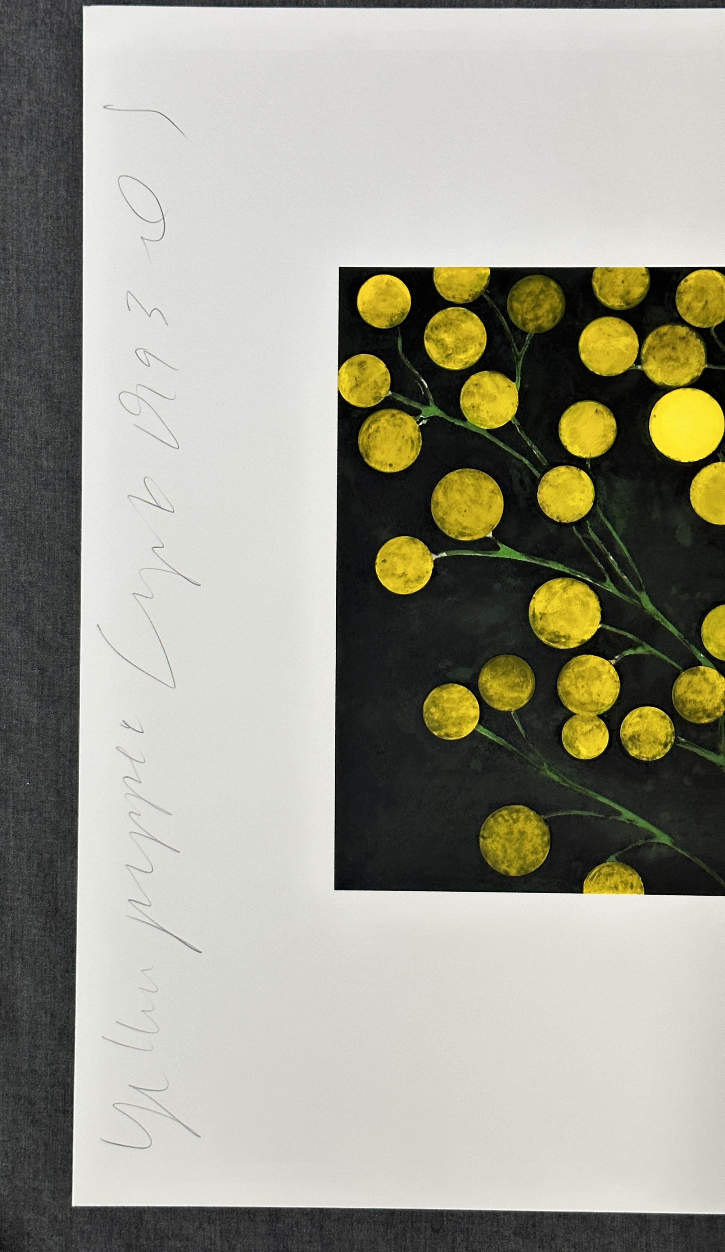 Yellow Peppers 1993 Signed Limited Edition Screen Print For Sale 2