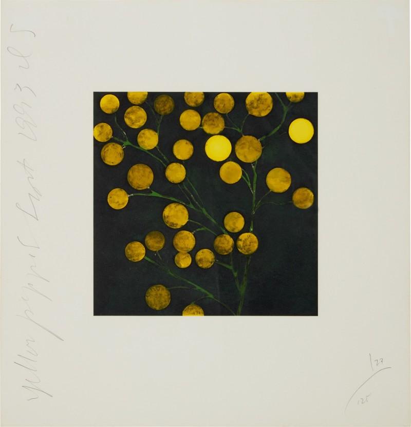 Yellow Peppers from Fruits and Flowers III, 95/125