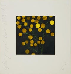 Yellow Peppers from Fruits and Flowers III