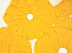 Amapolas amarillas