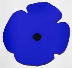 Blue Wall Poppy, Aug 13, 2020