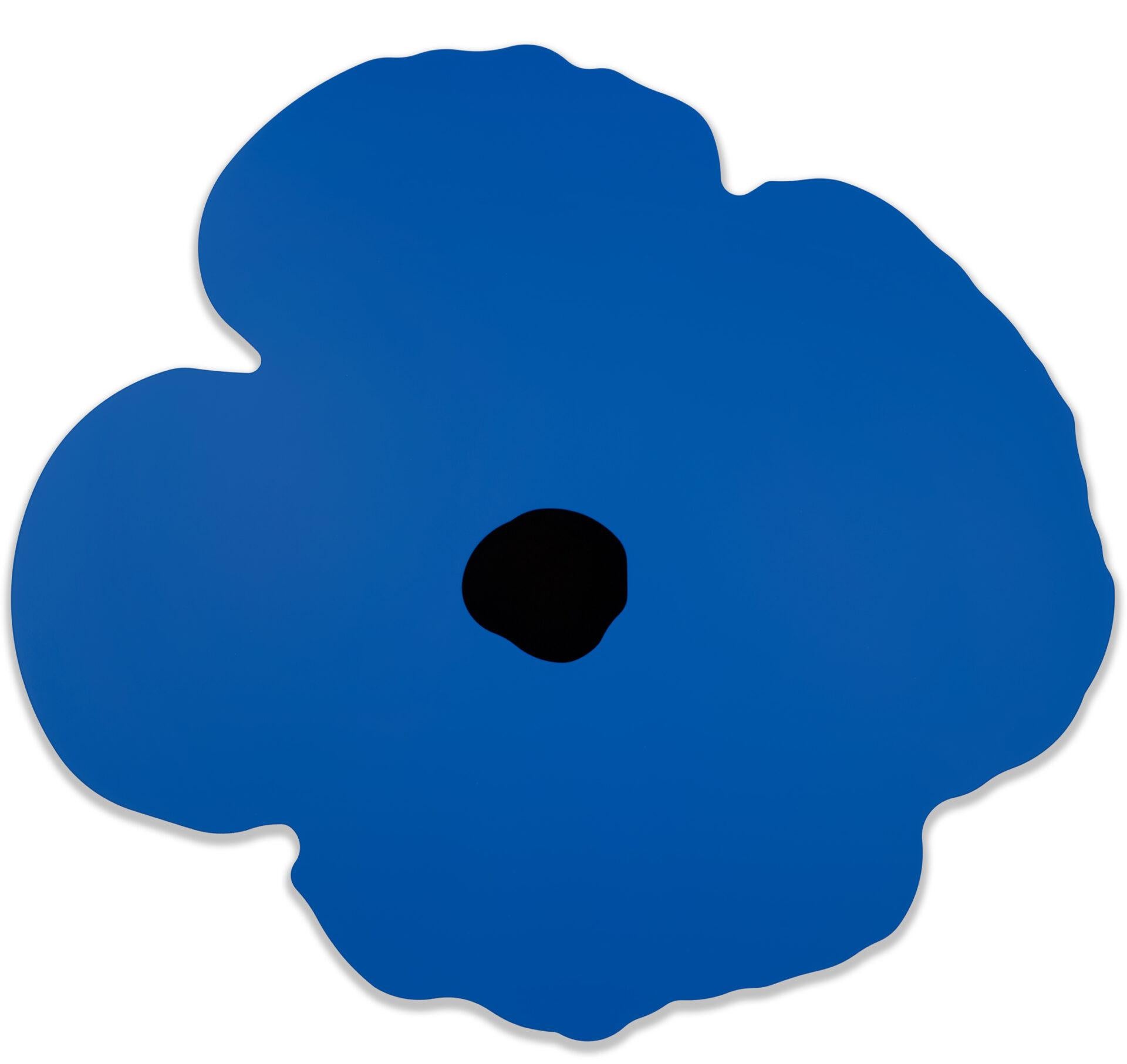 Coquelicot du mur bleu, 15 octobre 2024