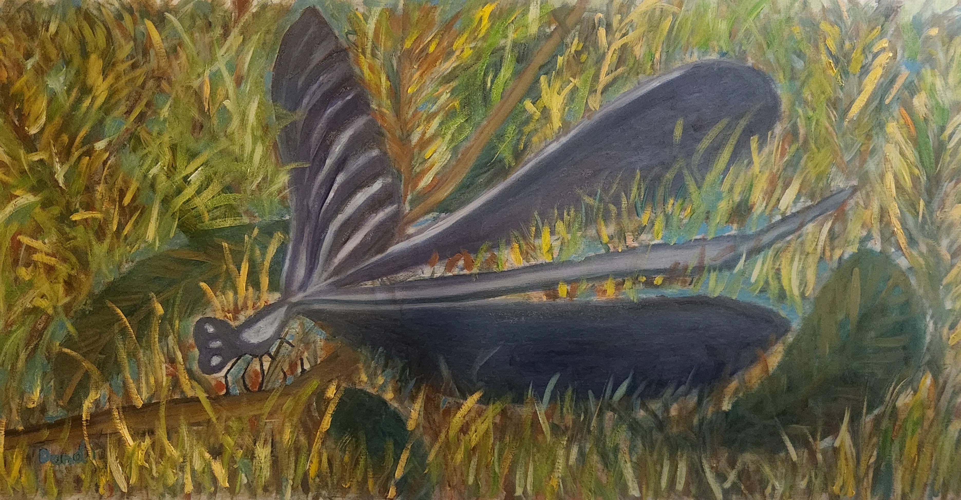 Oil on canvas

Dondi Schwartz is an Israeli artist born in Canada in 1961 who lives and works in the Kibbutz Beeri, Negev, Israel. Schwartz studied art at the Avni School of Arts in Tel Aviv, The Kibbutz Workshop for Painting and Creative Writing