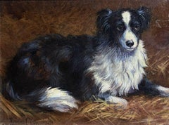 British Dog Painting - Portrait of a Collie Dog, signed oil painting