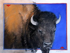 Just One Look (Buffalo, expression, vibrant colors, royal blue, black, red)