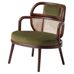 DOOQ Organic Modern Armchair Havana in Solid Walnut and Soft Kiwi Cotton Velvet