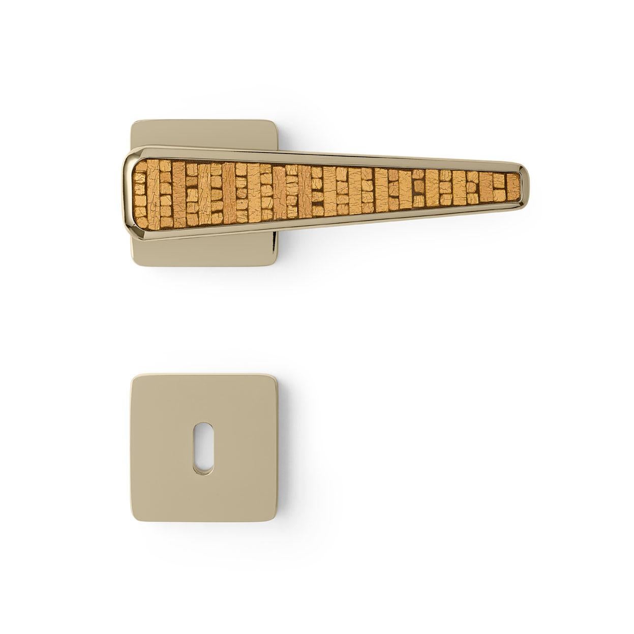 Maniglia per porta con piastra in alluminio Corpo della maniglia in ottone lucidato finitura champagne Vetrite in vendita 3