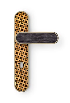 Door Handle Aluminum Plate Brass Handle Body Polished Champagne Finish Vetrite