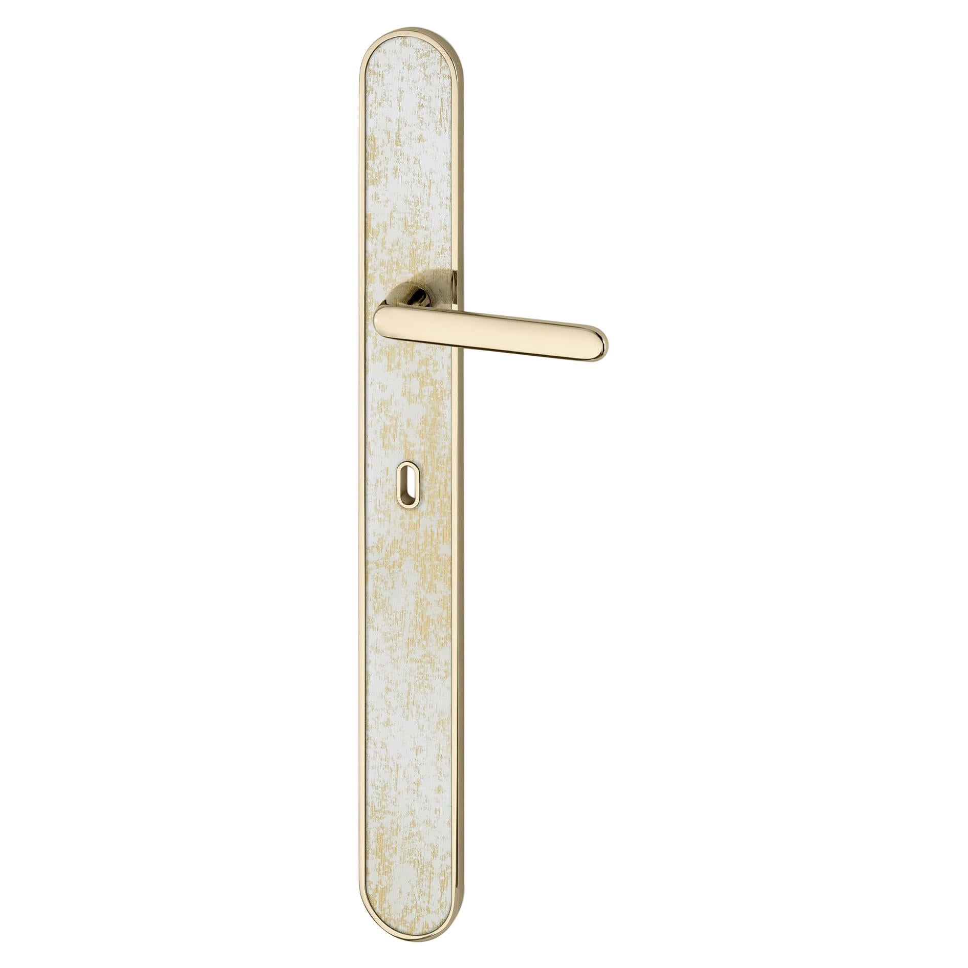 Door Handle Aluminum Plate Brass Handle Body Polished Champagne Vetrite Insert 