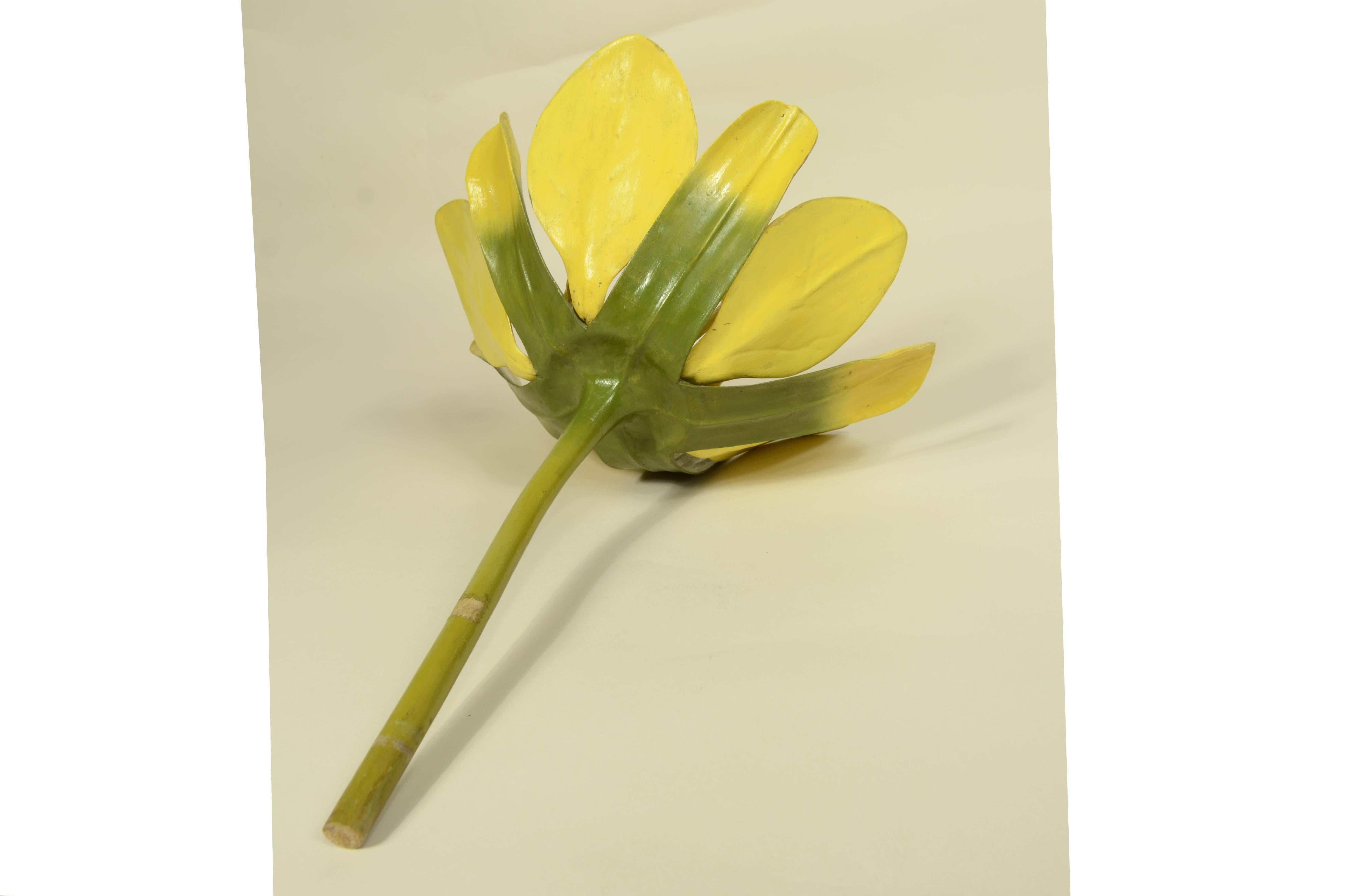 Doppio modello botanico del fiore dell’Acero Campestre Robert Brendel fine '800 in vendita 8