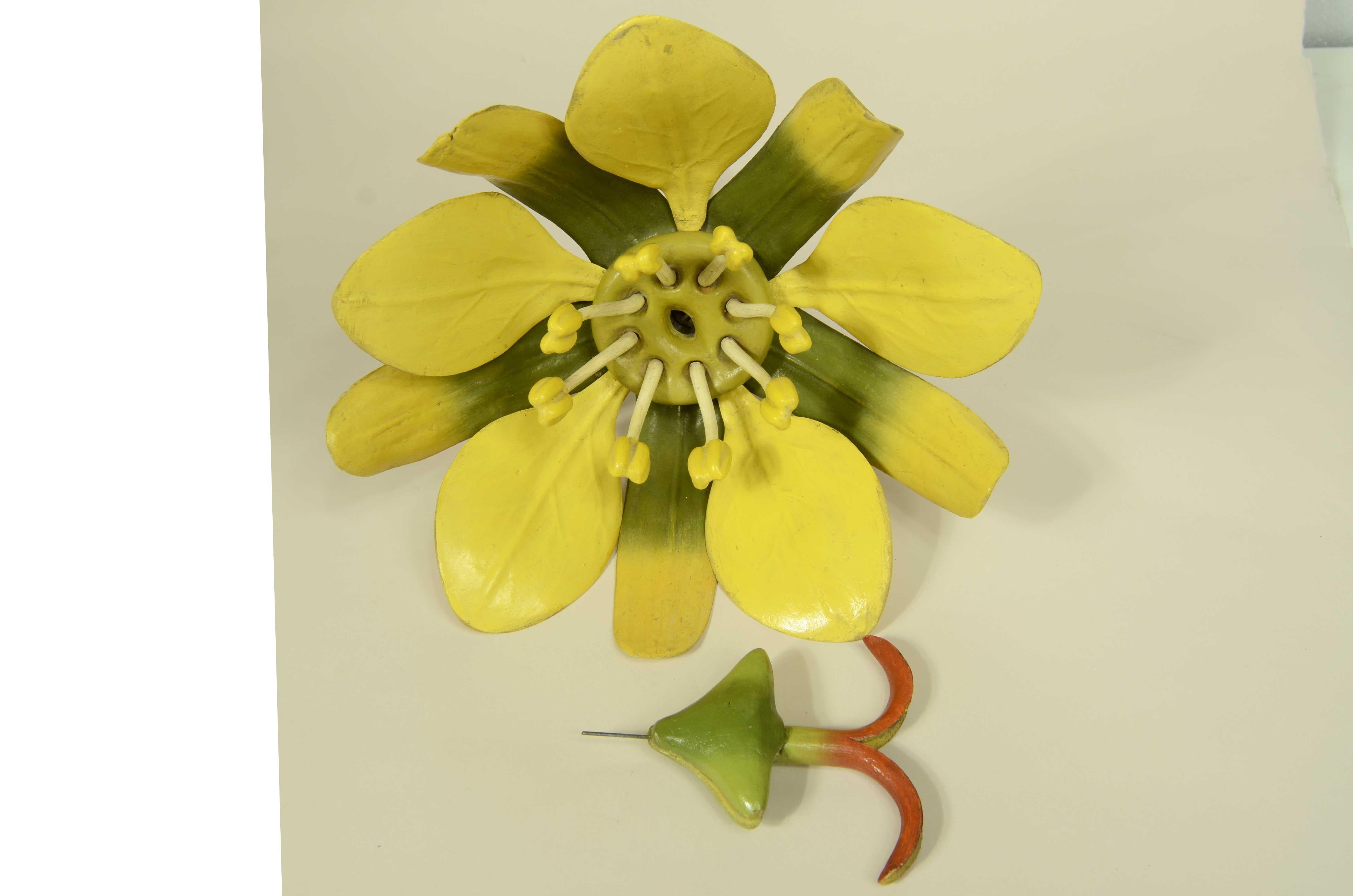 Doppio modello botanico del fiore dell’Acero Campestre Robert Brendel fine '800 in vendita 4