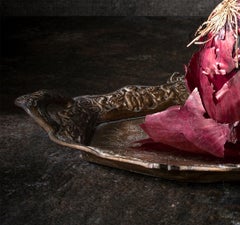 Cebolla e bandeja. Dalla serie di fotografie a colori di nature morte di Bodegones