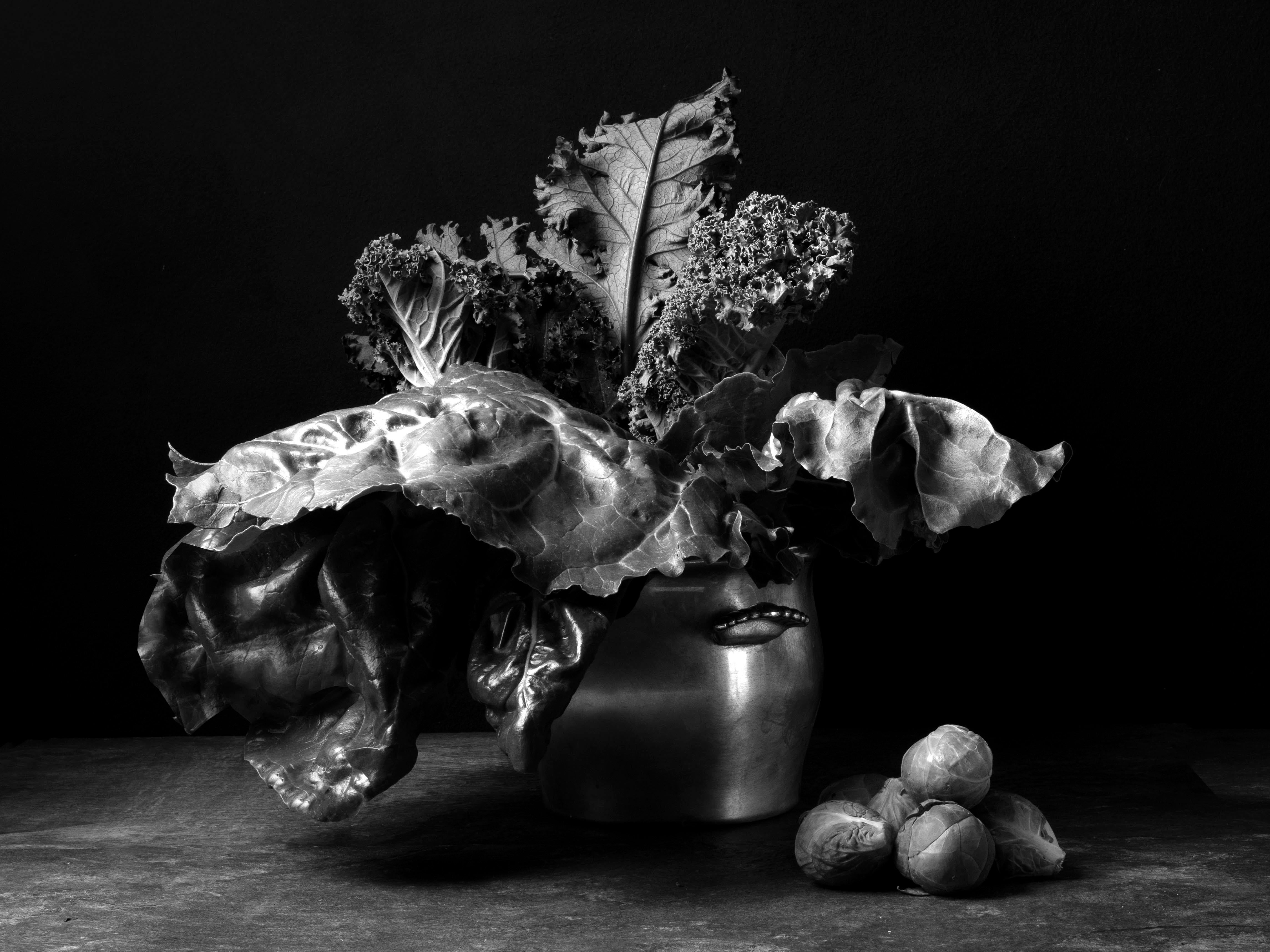 I bodegones sono un'interpretazione pittorica basata su un progetto di ricerca del famoso chef Juan Carlos Franco, su antiche ricette alimentari di diversi periodi storici. Il fotografo ha ricreato le immagini ispirandosi a dipinti e immagini di
