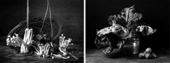 Hongos & Canasto e Kale & Coles de Bruselas Diptych. Dalla serie The Bodegones