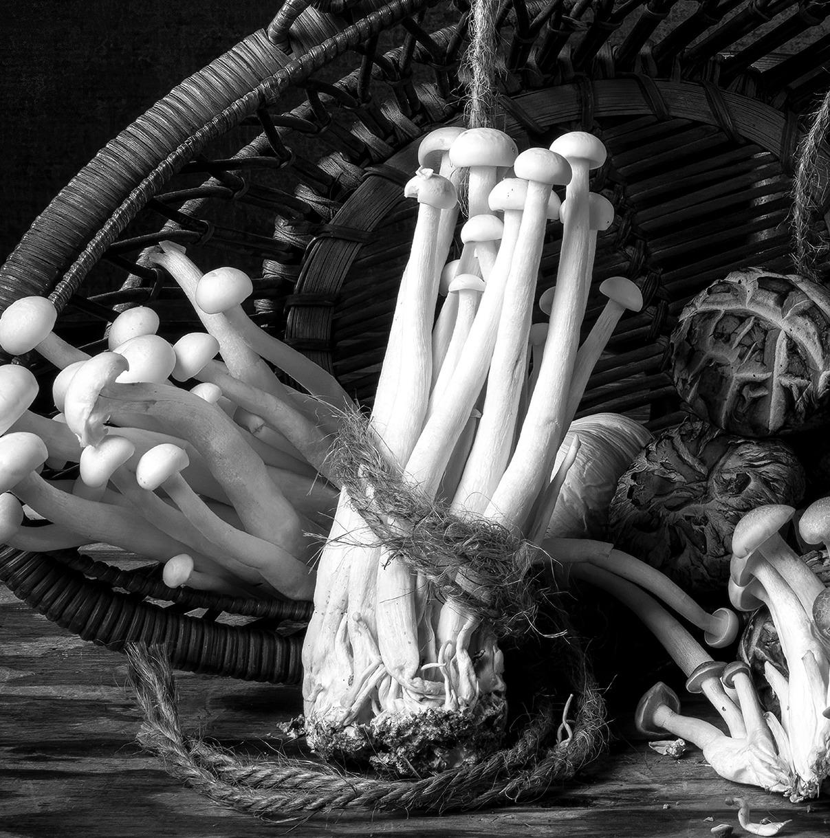 Hongos & Canasto De The Bodegones  série.  Nature morte photographie couleur - Photograph de Dora Franco