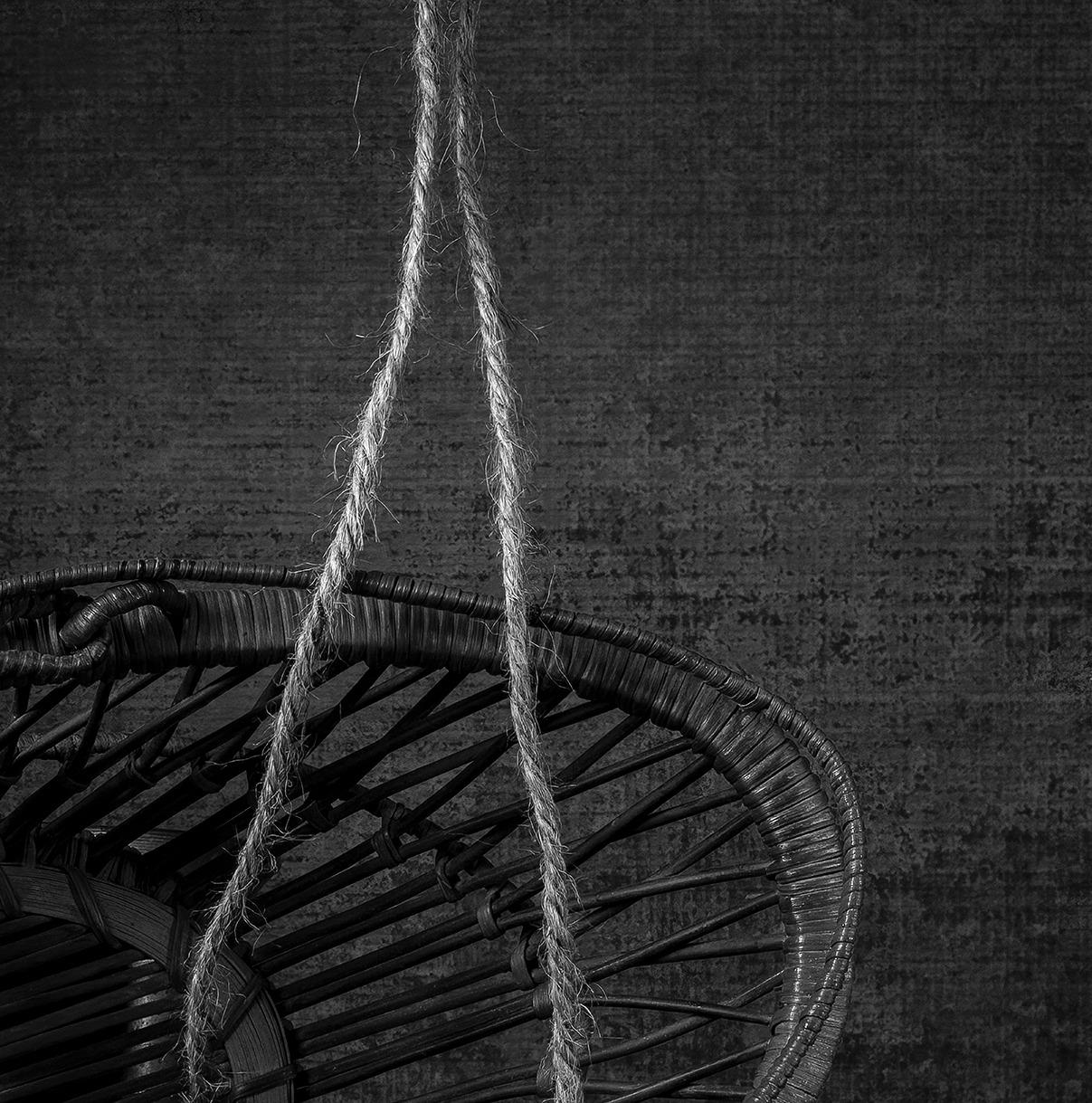 Hongos & Canasto De The Bodegones  série.  Nature morte photographie couleur - Contemporain Photograph par Dora Franco