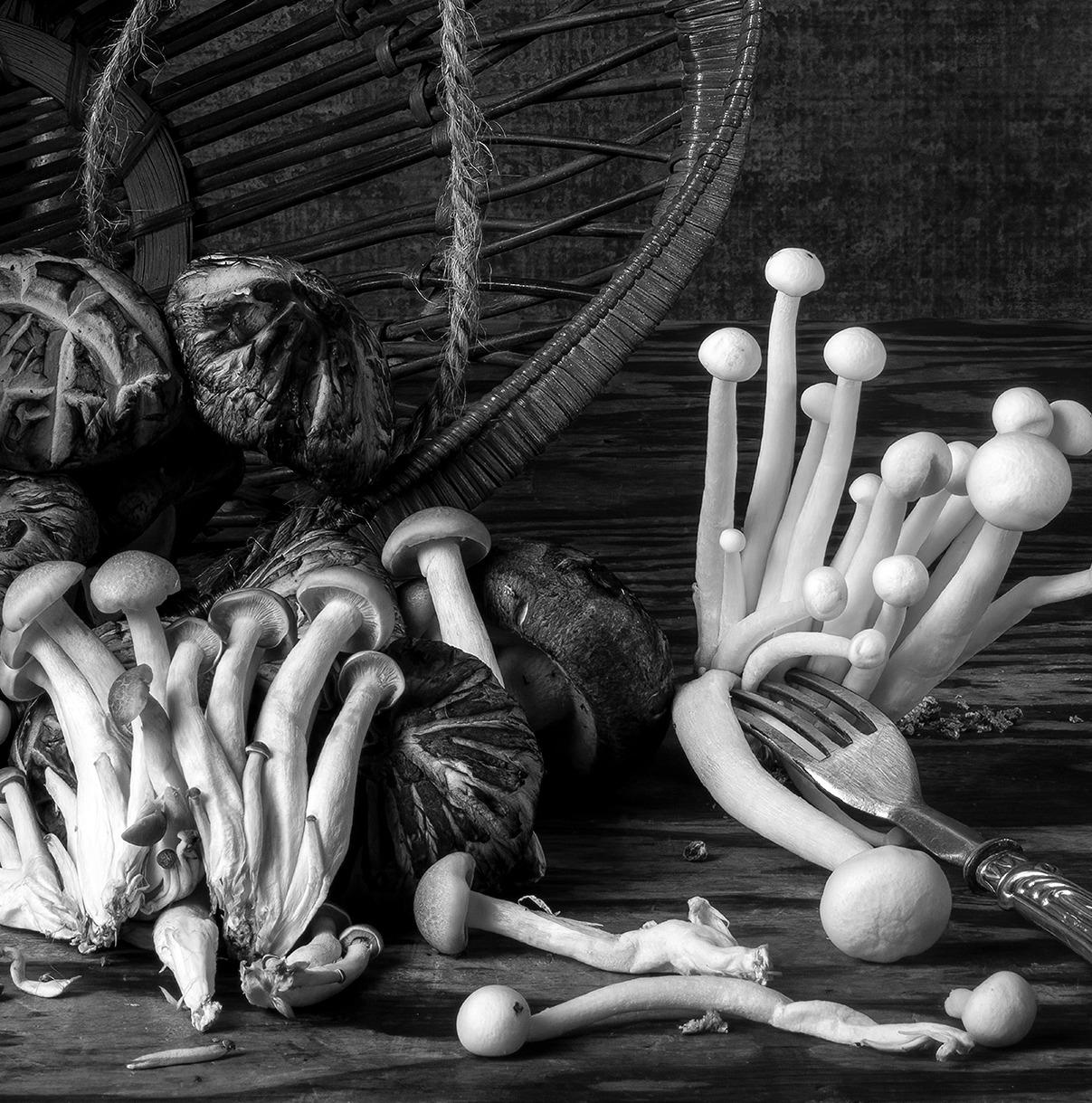 Hongos & Canasto De The Bodegones  série.  Nature morte photographie couleur - Noir Black and White Photograph par Dora Franco