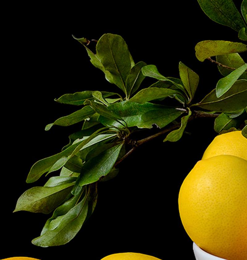 Limones. From The Bodegones  still life color photography series - Photograph by Dora Franco