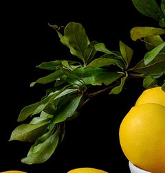 Limones. From The Bodegones  still life color photography series