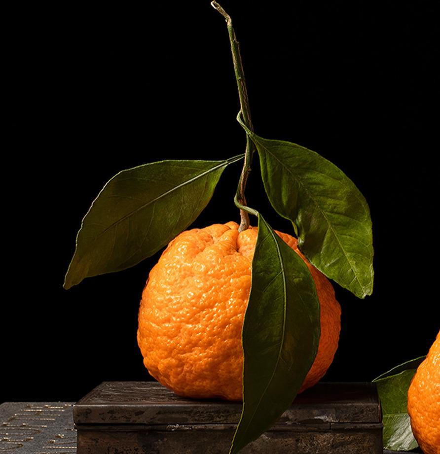 Limon con Cuchara e Mandarinas con Libro, Dittico. Dalla serie The Bodegones - Color Photograph Nero di Dora Franco