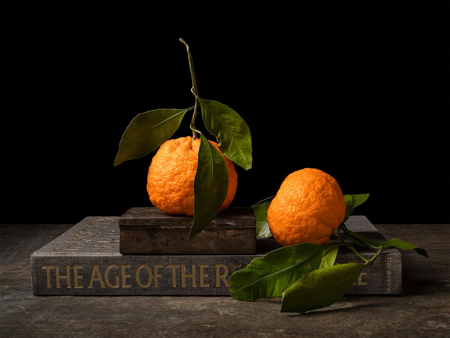 Limon con Cuchara e Mandarinas con Libro, Dittico. Dalla serie The Bodegones in vendita 2