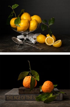Limon con Cuchara e Mandarinas con Libro, Dittico. Dalla serie The Bodegones