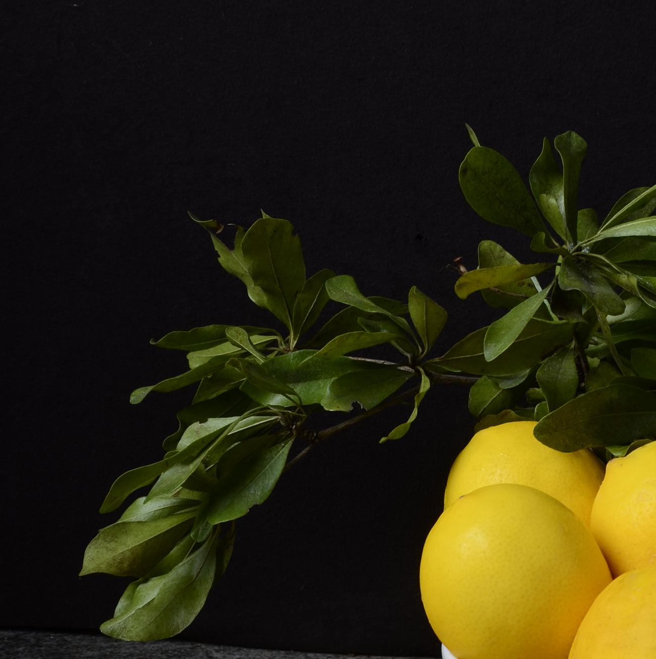 Limones II. De The Bodegones nature morte photographie couleur  série - Contemporain Photograph par Dora Franco