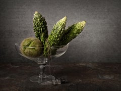 Melón amargo. From The Bodegones still life color photography series