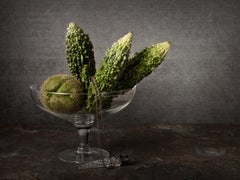 Melon Amargo. From The Bodegones still life color photography series