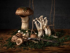 Paisaje de Hongos. From the Bodegones  still life color photography series