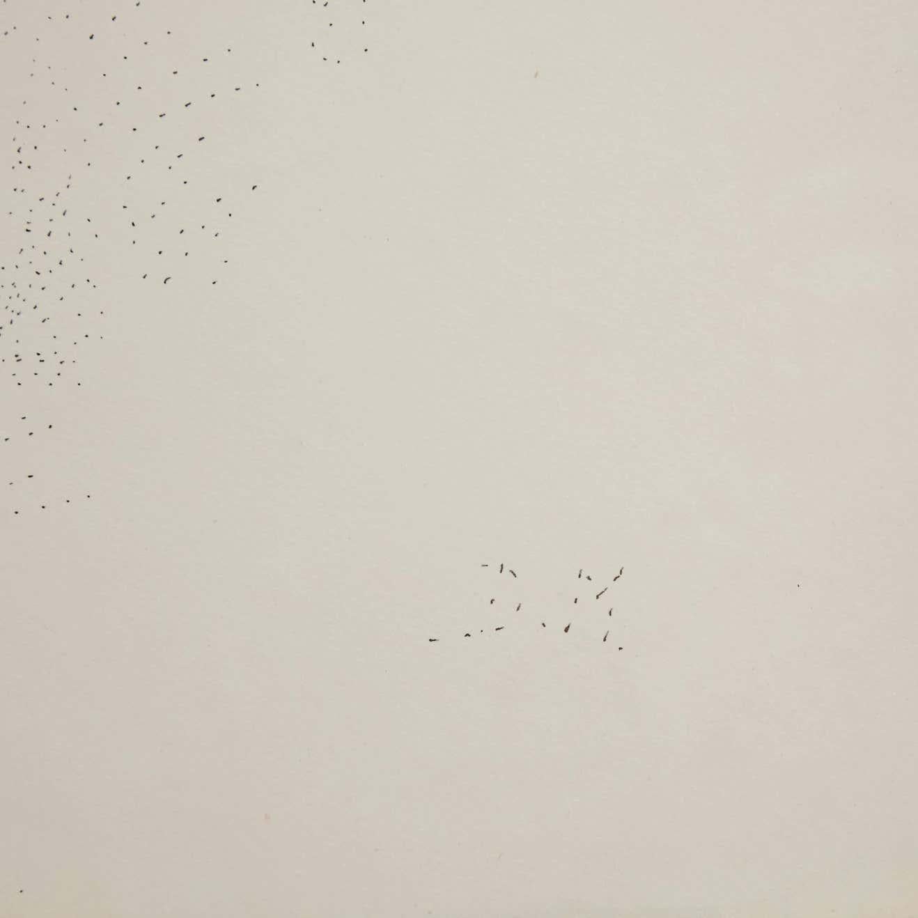 Francese Disegno di Dora Maar in vendita