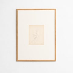 Dora Maar Dibujo puntillista enmarcado y firmado a mano, hacia 1960