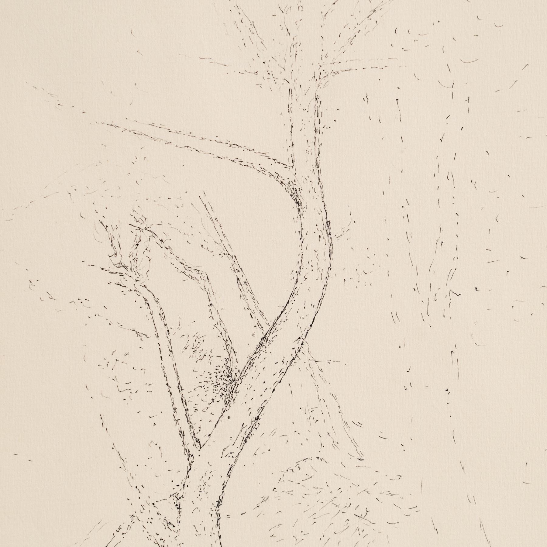 Metà XX secolo Disegno puntinista di Dora Maar incorniciato e firmato a mano, circa 1960 in vendita