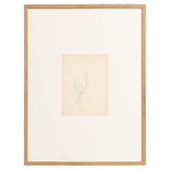 Disegno puntinista di Dora Maar incorniciato e firmato a mano, circa 1960