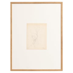 Dora Maar Framed Hand Signed Pointillist Drawing, circa 1960