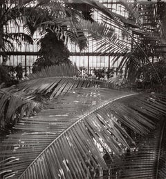 Antique Interior of a Greenhouse at Kew Gardens, London
