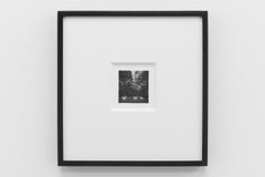 Menagerie (Geese), (Mengarie [Oies])