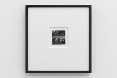 Ménagerie (autruches, girafes), (Mengarie [autruches, girafes])