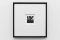 Savoie Cat, (Chat Savoie) I