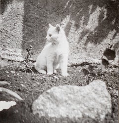 Antique Savoie Cat, (Chat Savoie) III